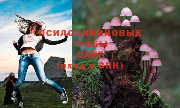 соль ск Абинск