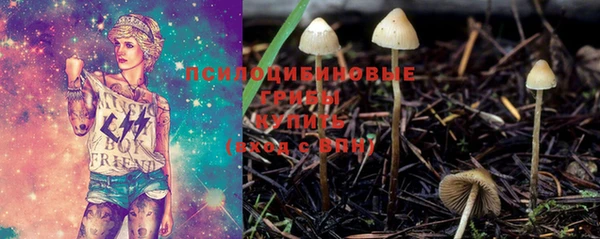 крисы Абаза