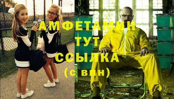 крисы Абаза