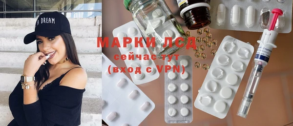 крисы Абаза